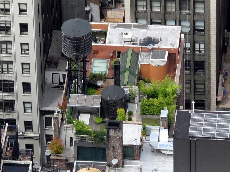 NY (292).JPG